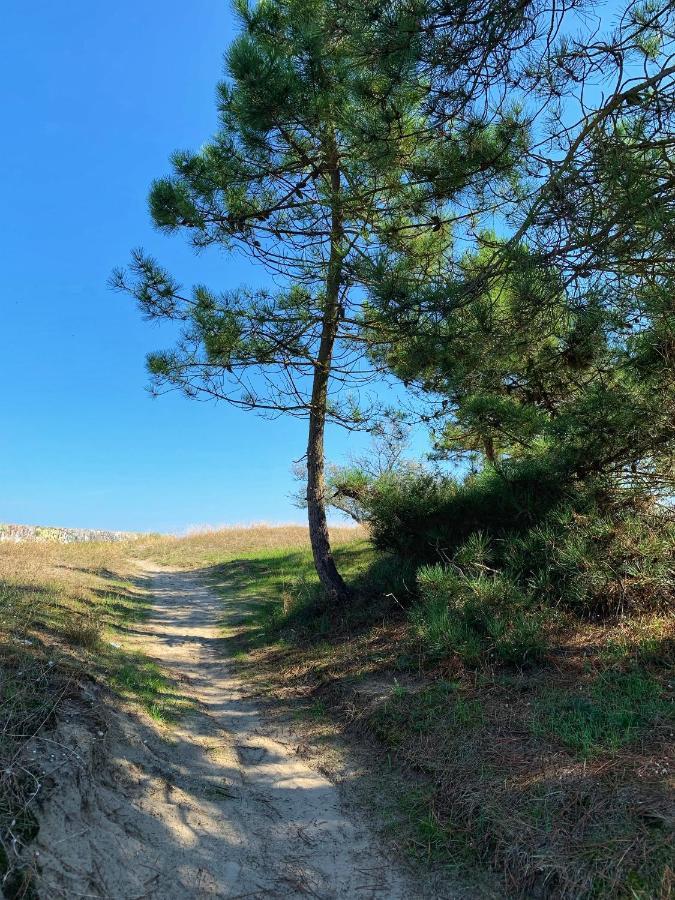 Medusablu121 Punta Marina Εξωτερικό φωτογραφία